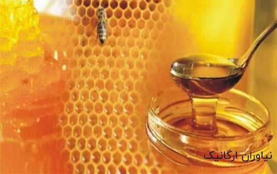 خرید عسل کنار