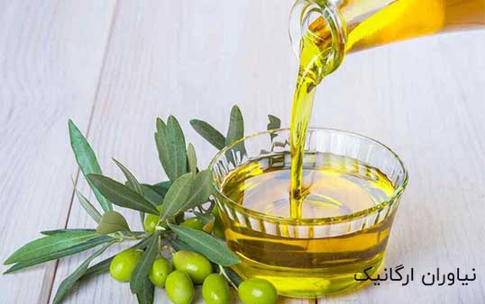 روغن حیوانی یا روغن زیتون؟ مقایسه ای برای انتخاب بهترین روغن